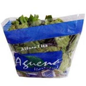 Alface Lisa Aguena Maço Alface Lisa Aguena Maço
