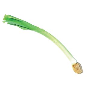 Alho Poró Aguena Alho Poró Aguena