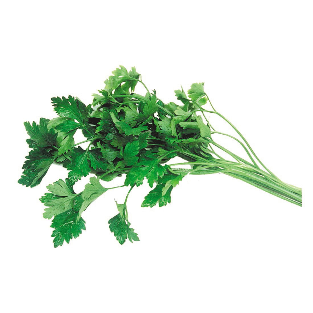 Salsa Aguena