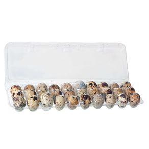 Ovo de Codorna Katayama Com 30 Unidades Ovo de Codorna Katayama Com 30 Unidades