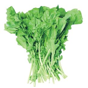 Rúcula Aguena Rúcula Aguena