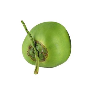 Coco Verde 1 Unidade Coco Verde 1 Unidade