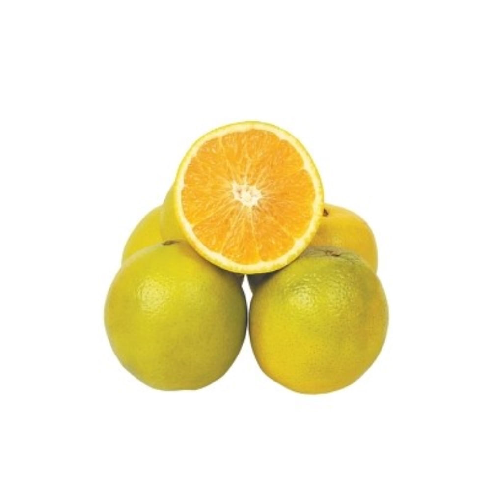 Laranja Bahia