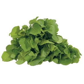 Rúcula Maço. Rúcula Maço.