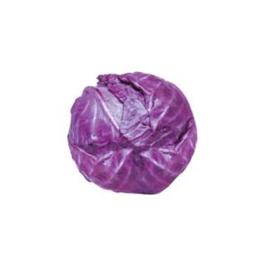 Repolho roxo Repolho roxo