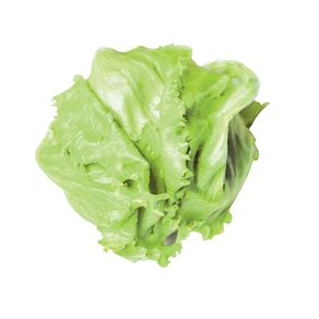 Alface Americana Aguena Maço Alface Americana Aguena Maço