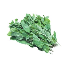 Hortelã Aguena Hortelã Aguena