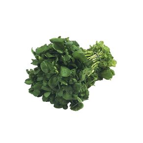 Agrião Aguena Agrião Aguena