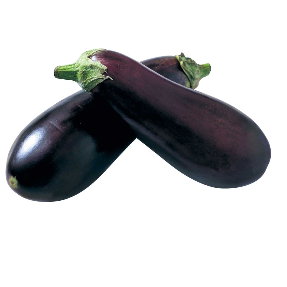Berinjela Hortatec Bandeja