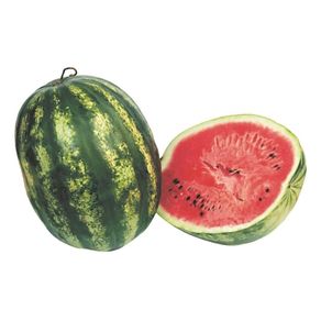 Melancia Inteira Melancia Inteira