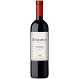 Vinho-Argentino-Benjamin-Nieto-Cabernet-Sauvignon-Tinto-750ml