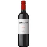 Vinho-Argentino-Benjamin-Nieto-Senetiner-Malbec-750ml