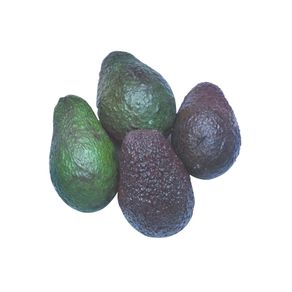 Avocado Avocado