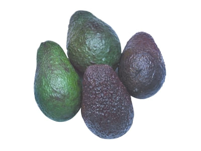 Abacate Avocado