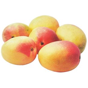 Manga-Hadem Manga-Hadem