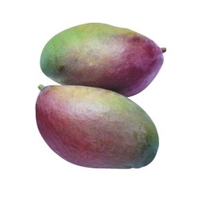 Manga-Palmer Manga-Palmer