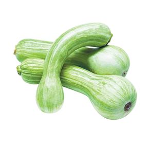 Abobora-Brasileira Abobora-Brasileira