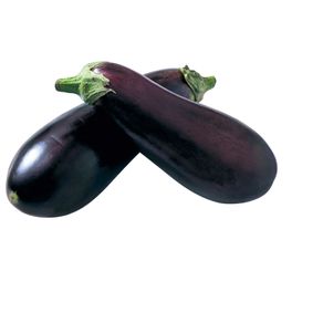 Berinjela Berinjela