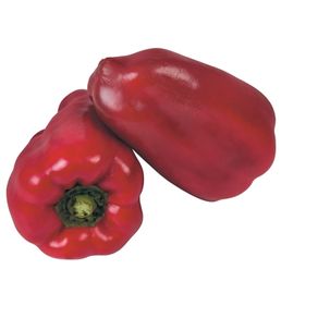 Pimentao-Vermelho Pimentao-Vermelho