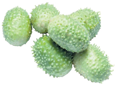 Maxixe