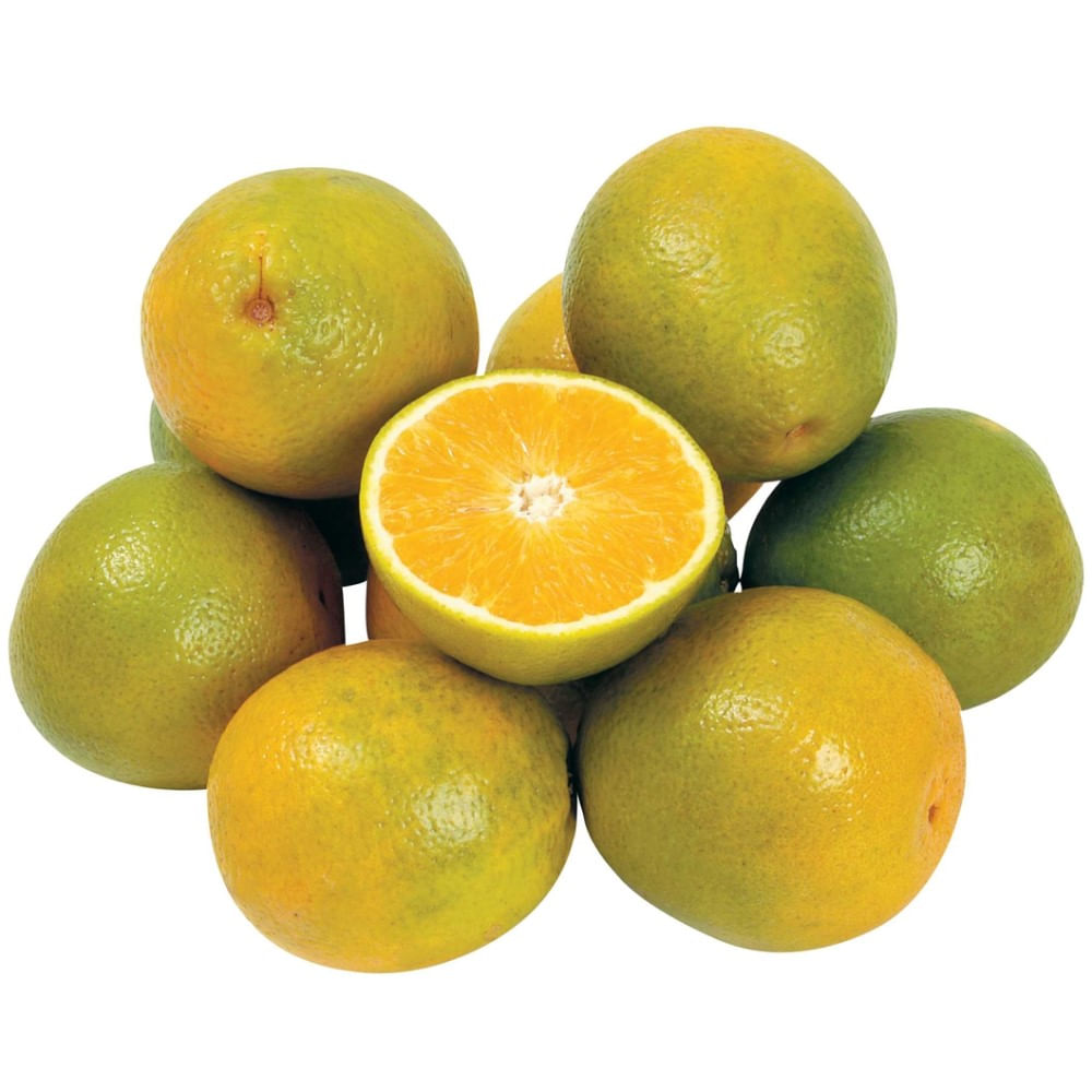 Laranja Pera