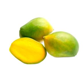 Manga-Espada Manga-Espada