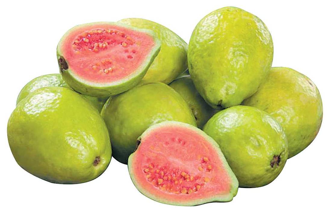 Goiaba Vermelha