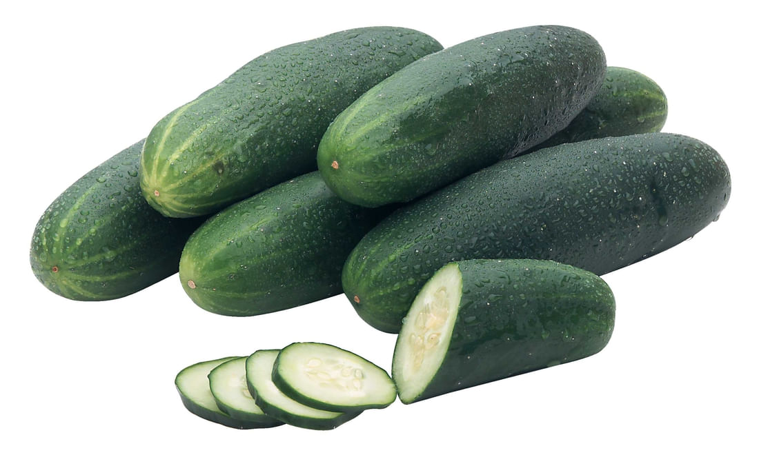 Pepino Comum