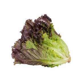 alface-roxa alface-roxa