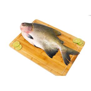 1077368-PACU-1 1077368-PACU-1