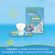 7500435157520-Fraldas_Para_gua_Pampers_Splashers_Baby_Shark_M_G_11_Unidades-Baby_Care-Pampers--10-