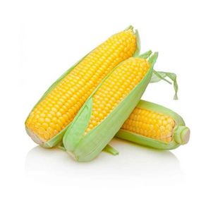 7898935908590 7898935908590