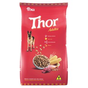 1014994_thor-adulto 1014994_thor-adulto