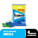 7895800112632-Chiclete_Trident_Hortel_32g__Pacote_Com_4_embalagens-site_1000x1000--1-