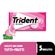 7895800430002-Chiclete_Trident_Tutti_Frutti_Sem_A_car_8g__Embalagem_com_5_unid_-site_1000x1000--1-