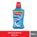 7891024136133---Antisseptico-Bucal-COLGATE-Plax-Ice-500ml-Promo-Pague-350ml---2--1-