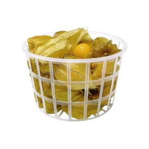 7898935886768 7898935886768